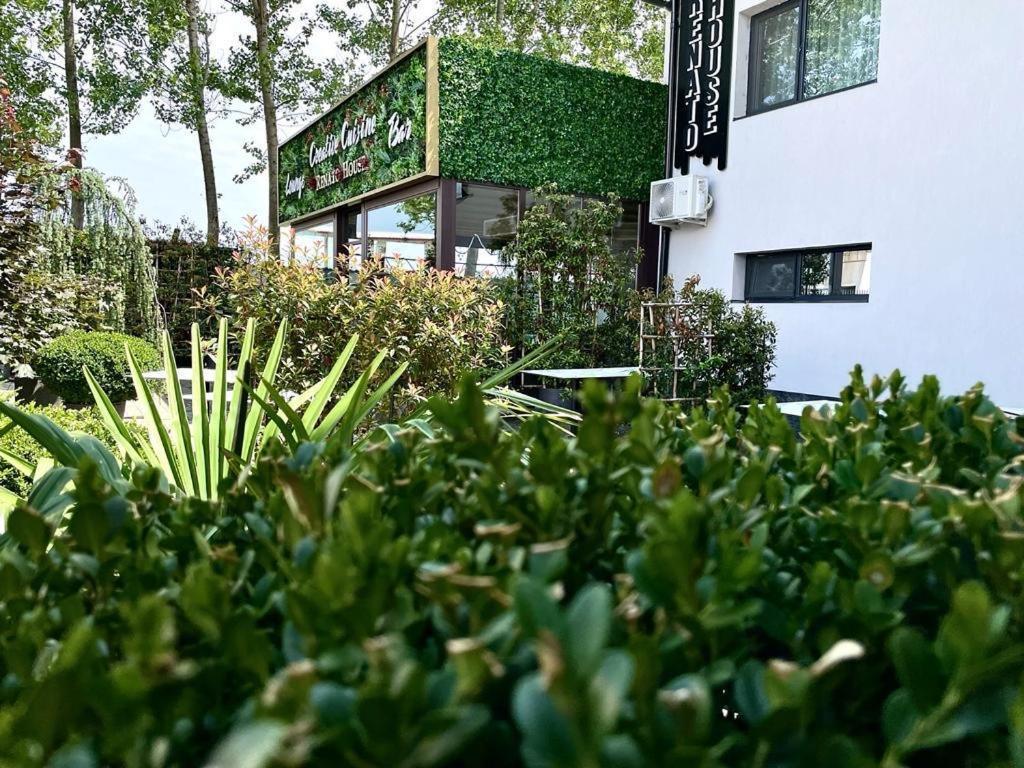 Renato House Ξενοδοχείο Târgu Jiu Εξωτερικό φωτογραφία